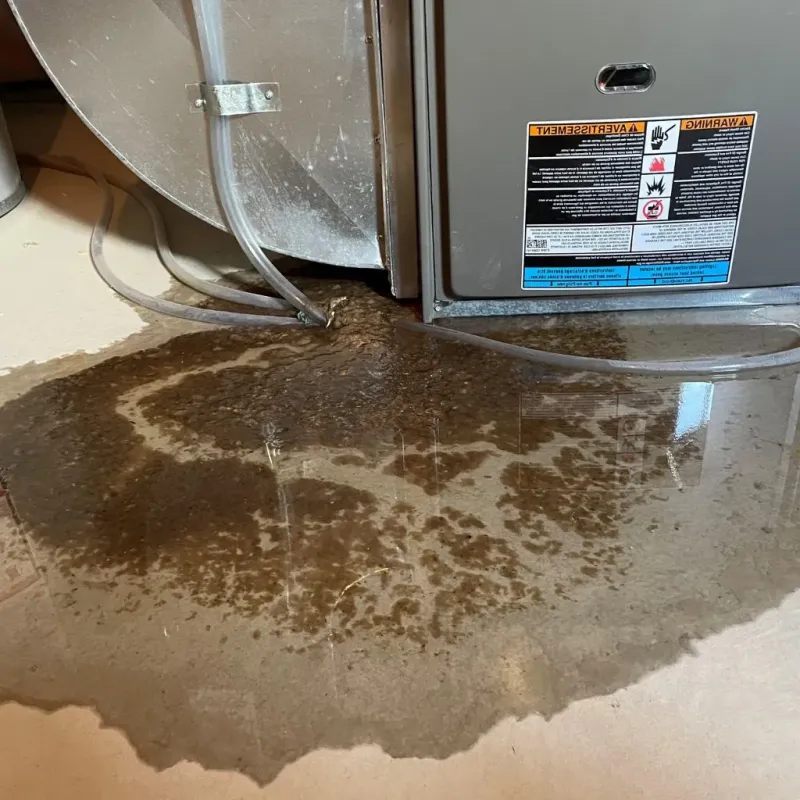Pipe Burst and Leak Restoration in Stevens County, WA